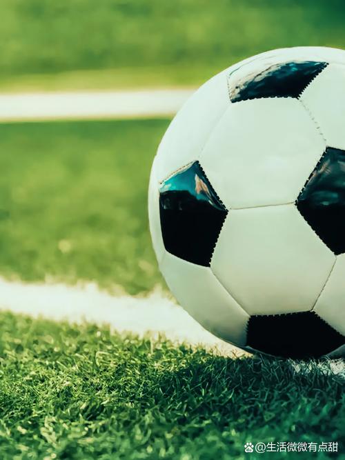 竞彩足球胜平负混合过关分析平台界面展示