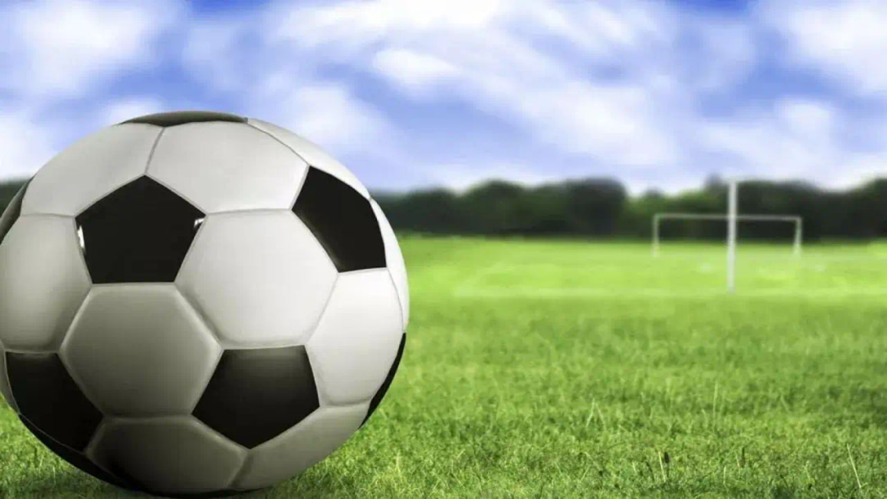 资深彩民深度分析场景